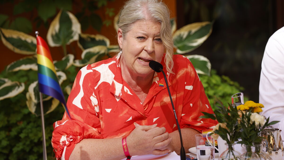 Swedish government sets zero vision for violence against children