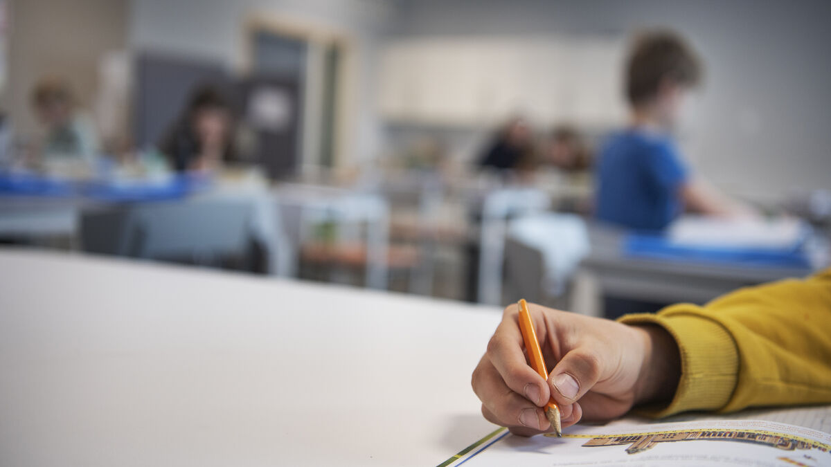 The Tidö parties want to see honor screening in schools