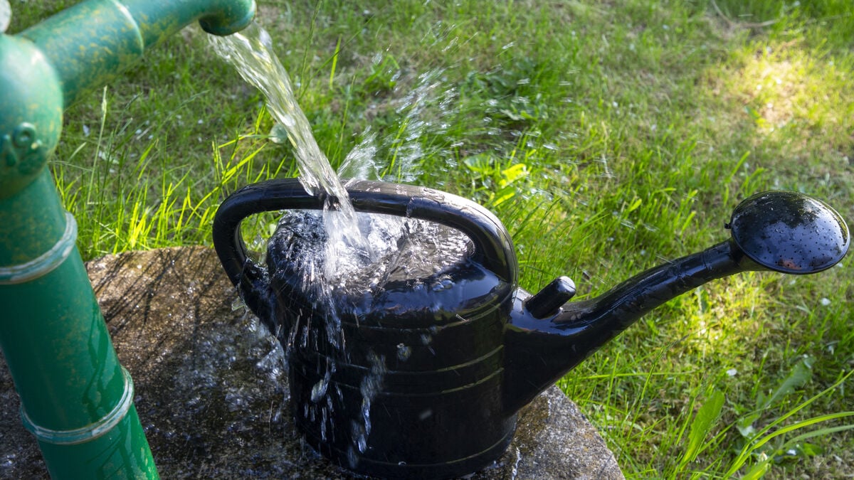 Water Pumps Run Amok, Generate