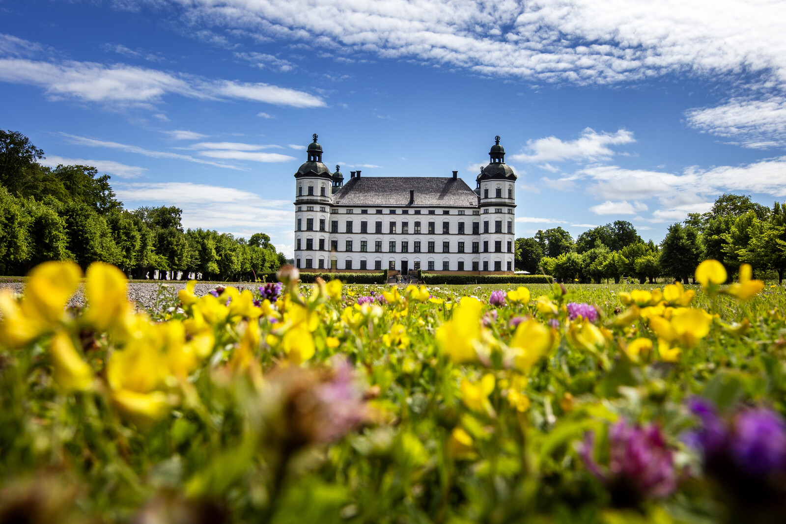 Mold Threatens Danish and Swedish Cultural Heritage in Museums