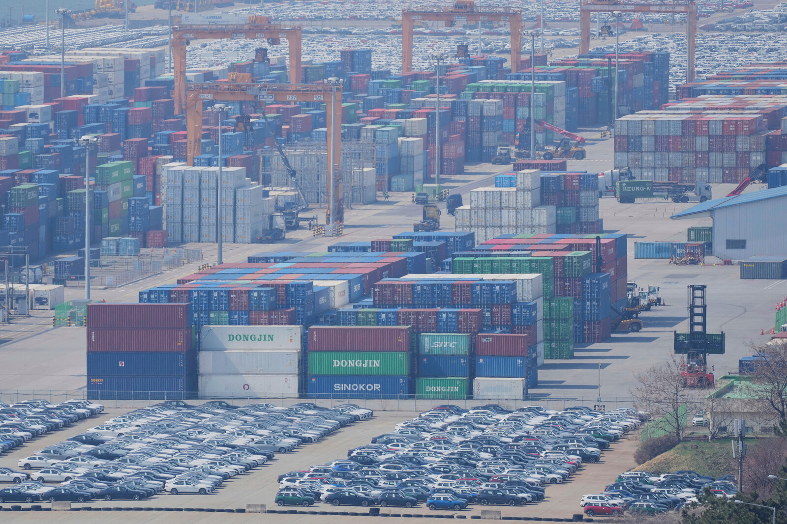 WTO Report: Trump's Tariffs Could Cut Global Trade by 1.5% by 2025
