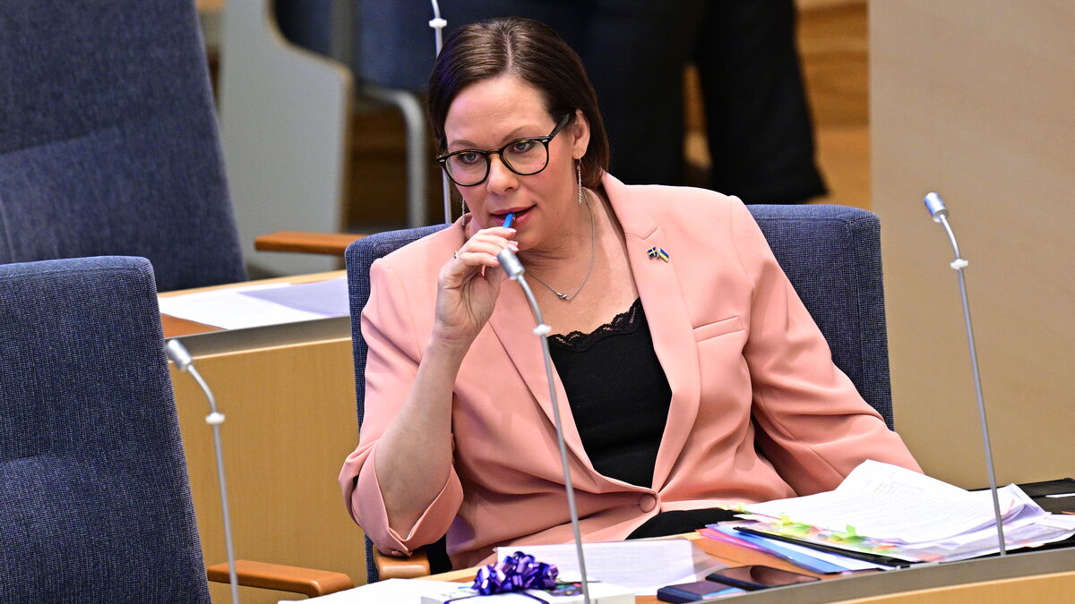The government sharply criticizes the