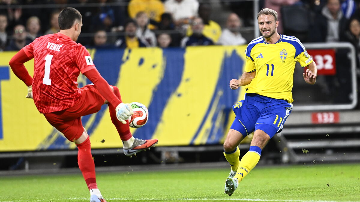 Draw for Sweden in World Cup qualifiers