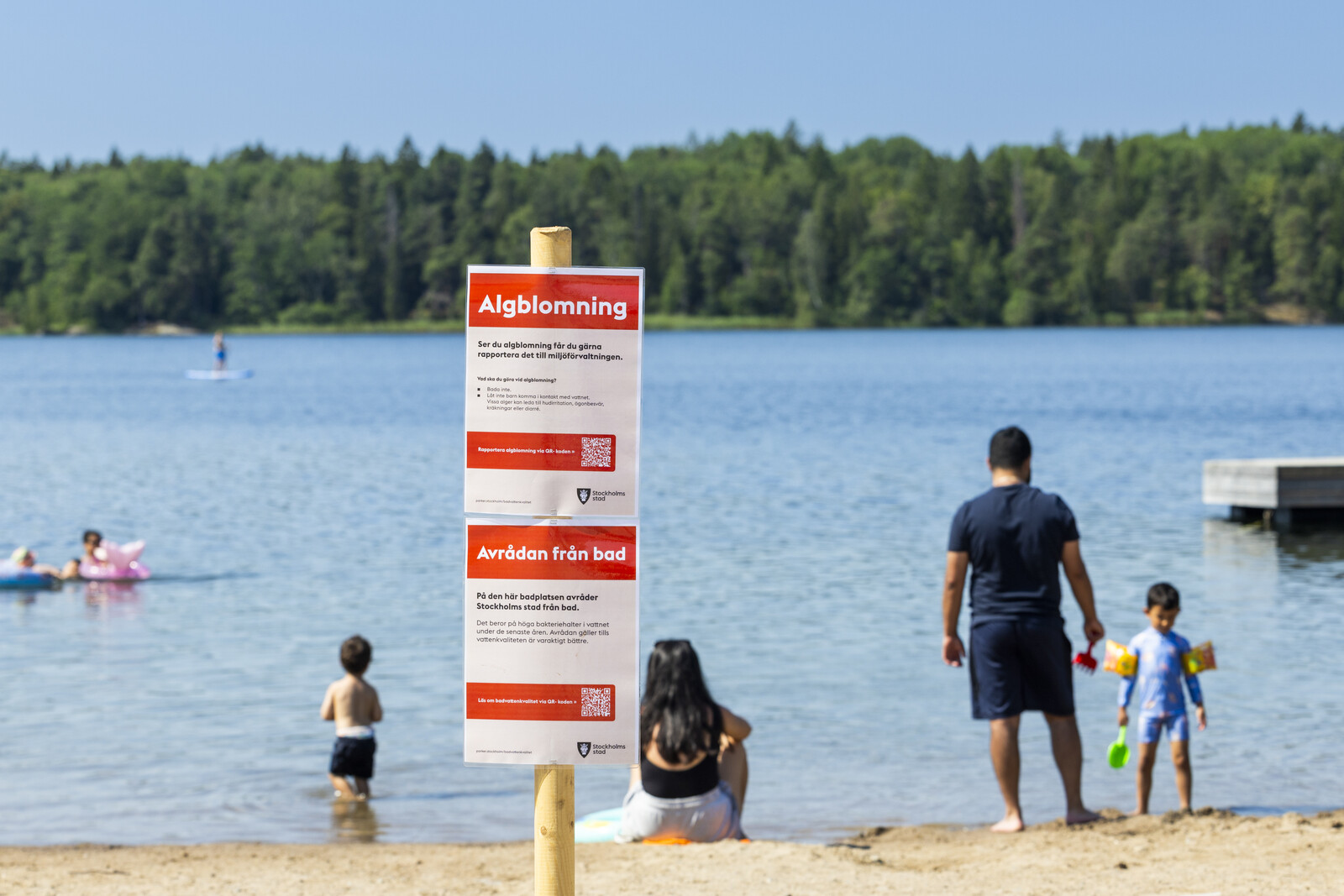 Toxic Algae Threaten Bathing Areas Along Swedish Coastlines
