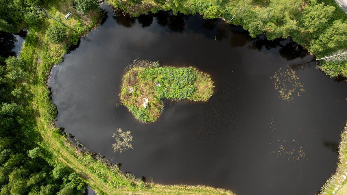 Micael built an island shaped like a penis in Sweden, and it’s gone viral