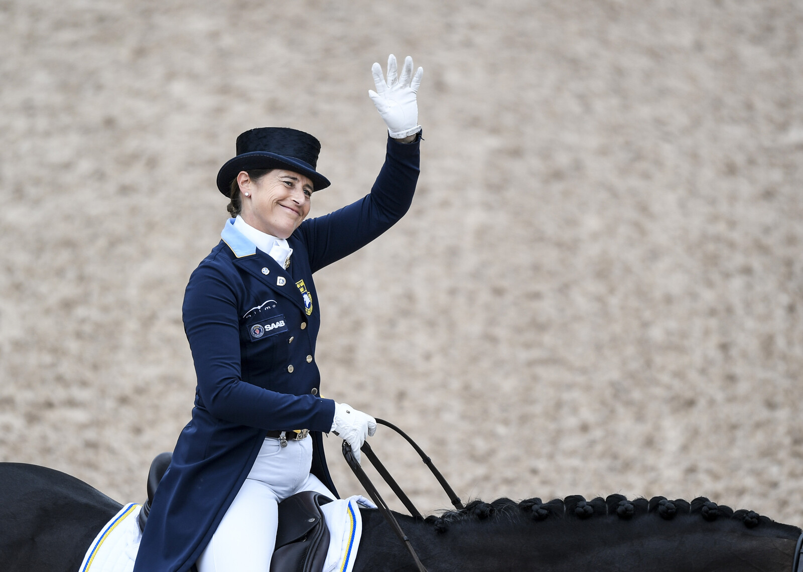 Sweden Competes for Medals in