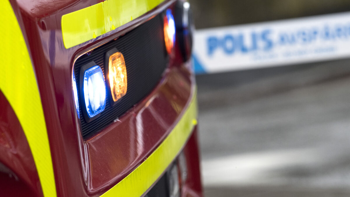 Elderly woman dies after house