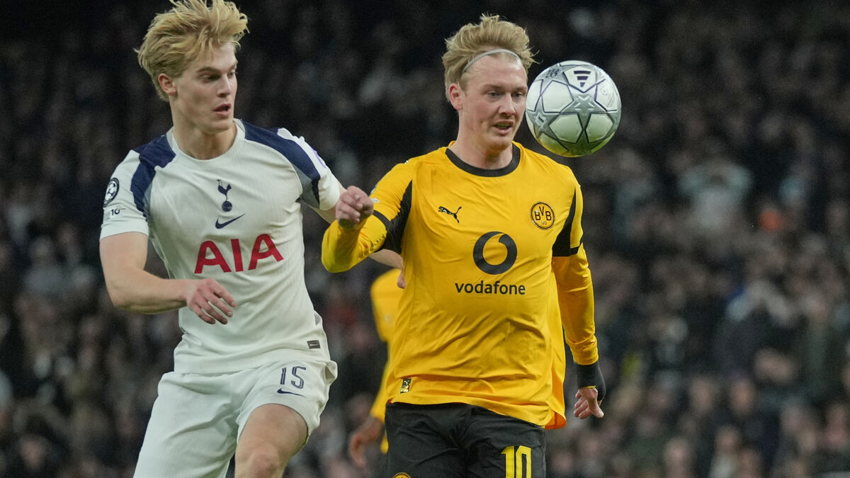 Tottenham's Lucas Bergvall may miss World Cup playoff