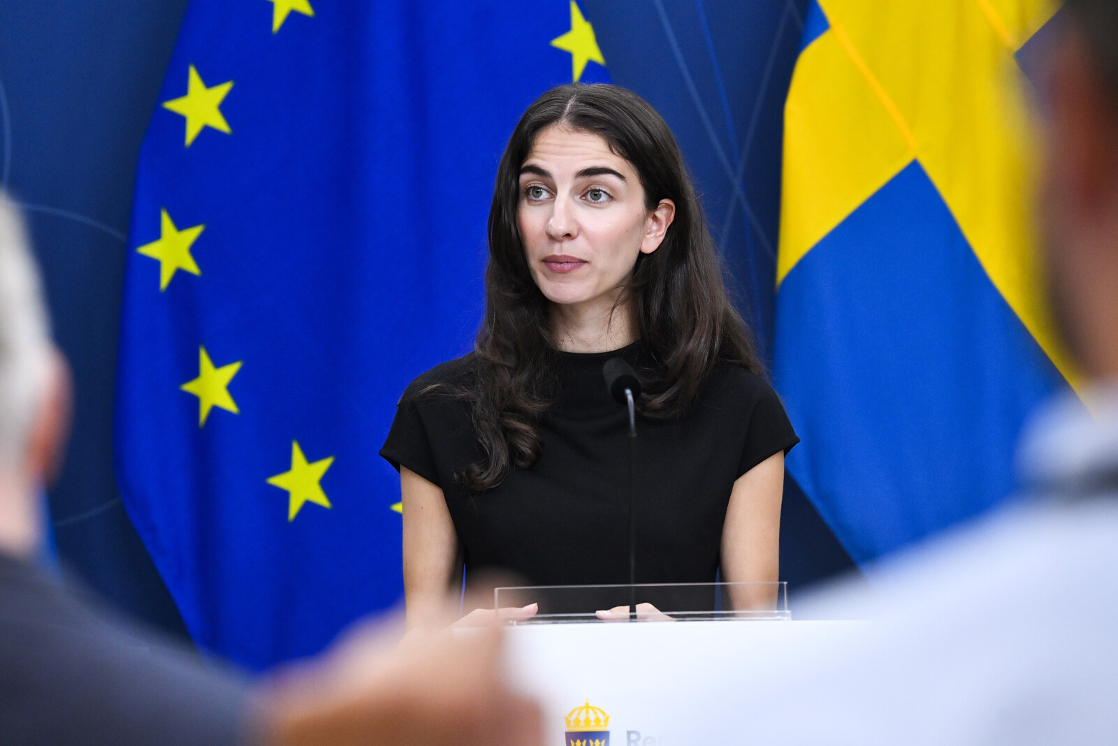 Sweden Allocates 550 Million Kronor for Environmental Measures