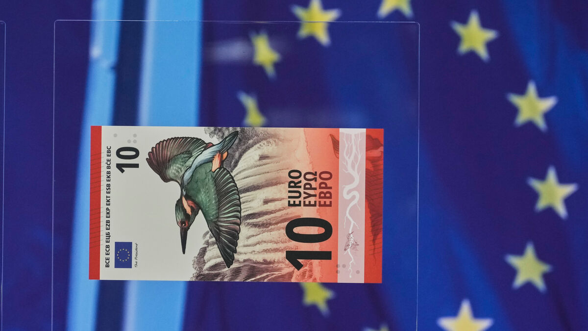 EU votes on future euro banknotes, with da Vinci and stork among designs