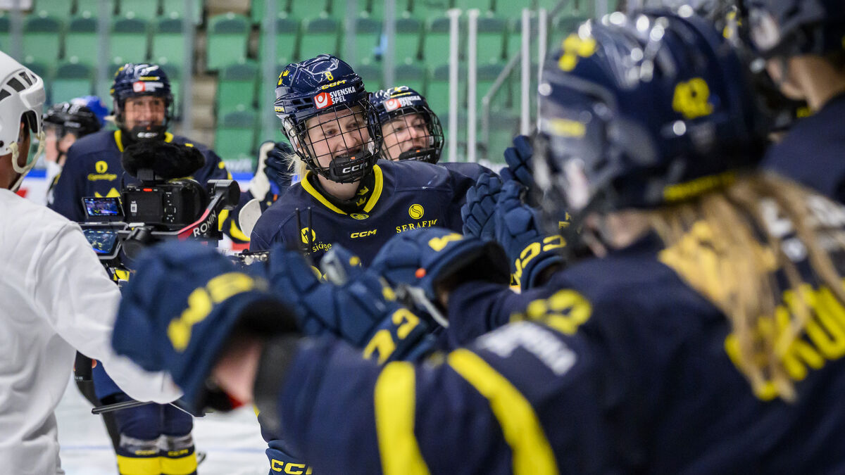 Swedish victory against the Czech