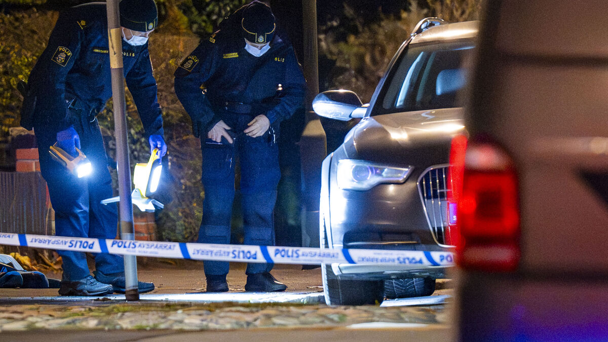 12-year-old murder suspect in Malmö