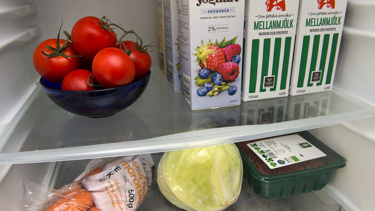 Rotten month starts early - how to keep food safe in summer heat