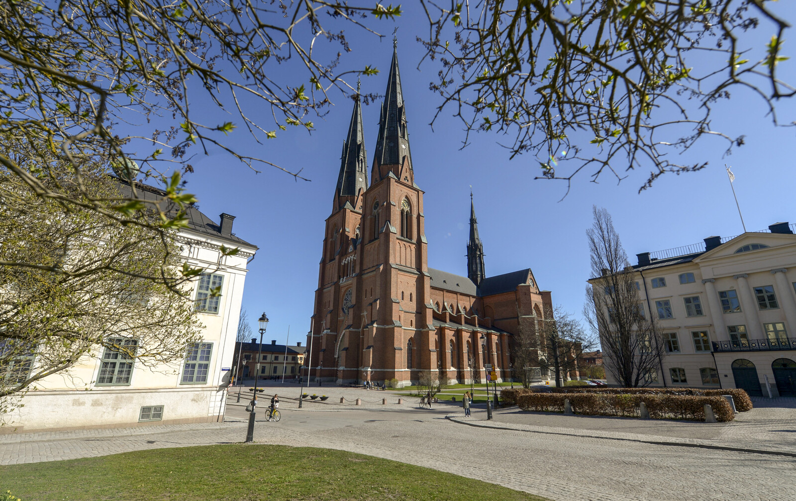 Church of Sweden Rings Bells
