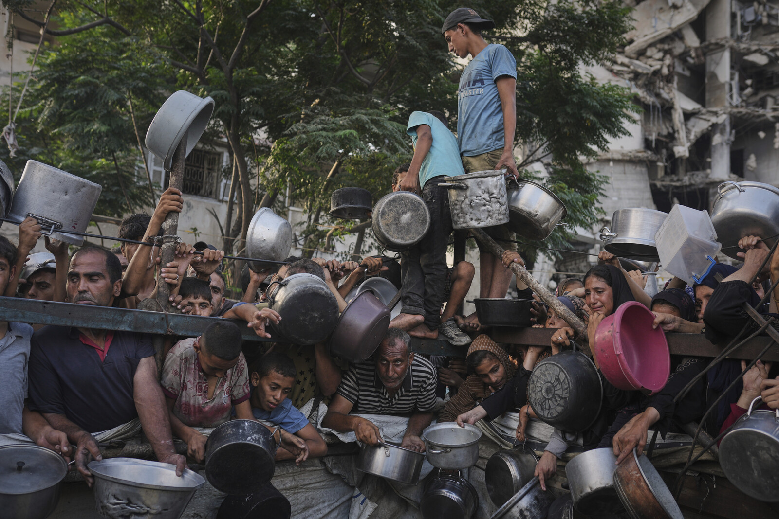 Gaza Crisis: WHO Operations at