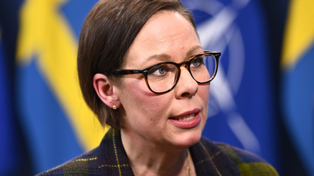 Foreign Ministry: No support for Swedes on Gaza convoy at sea