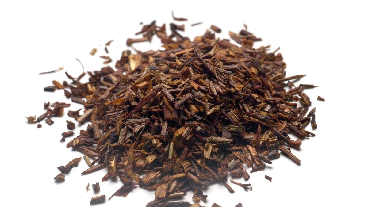 South African rooibos seeds to