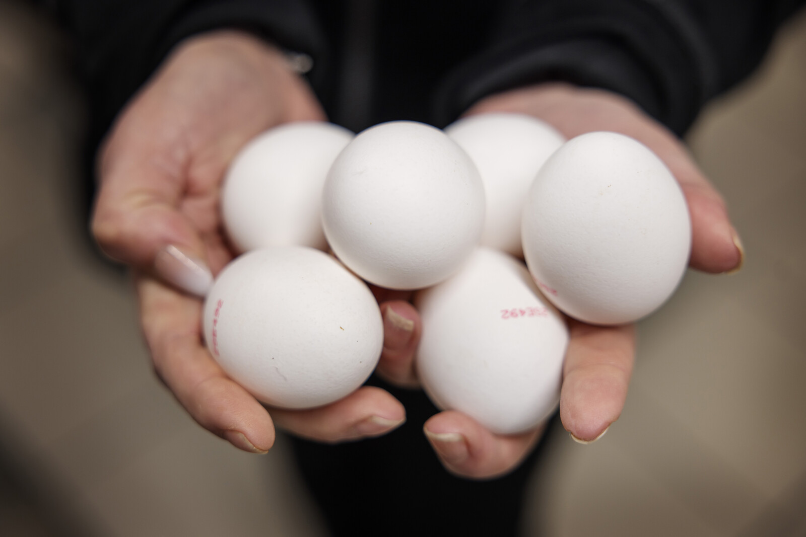 Axfood, Ica, and Lidl Recall Eggs Over Salmonella Concerns