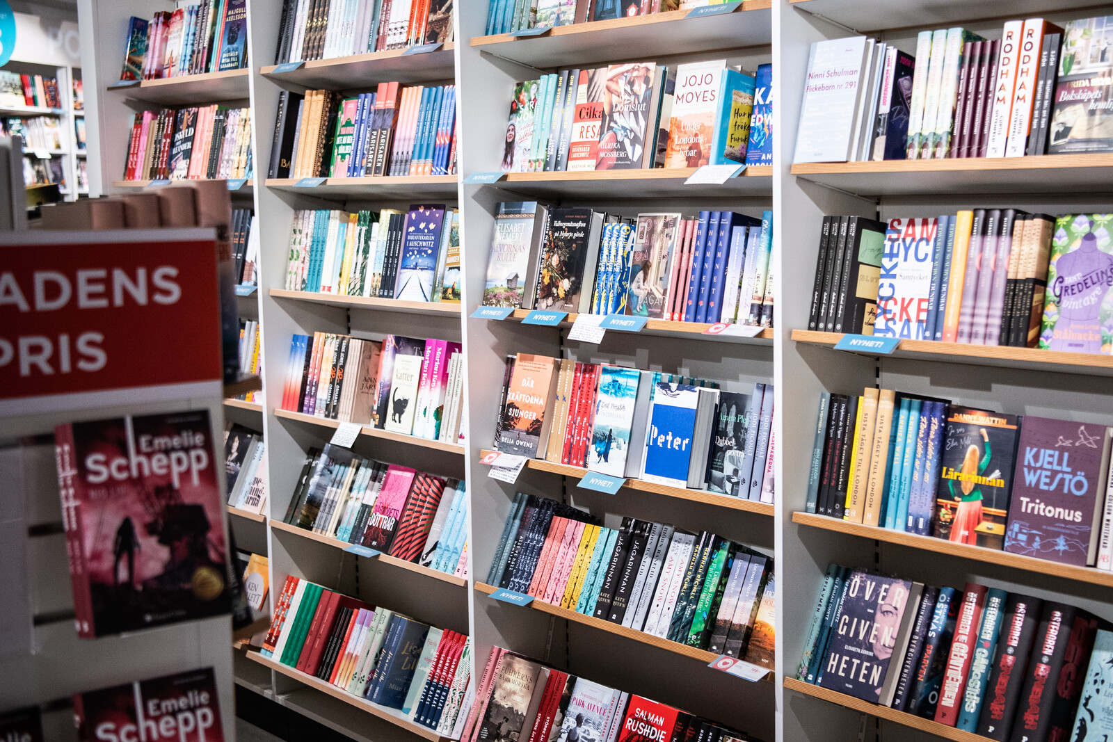 Strong year for bookstores last year
