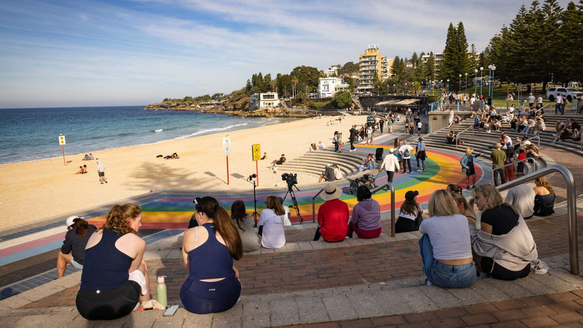 Great white shark attacks in Sydney: The size is a shock