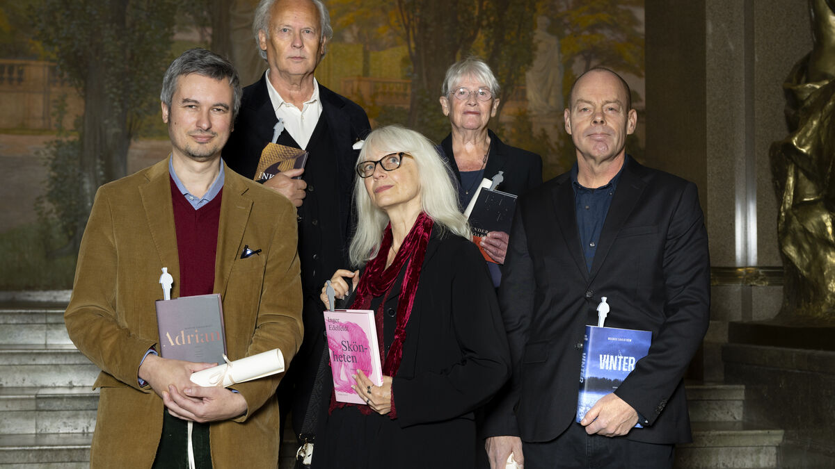 Tone Schunesson’s Much-Talked-About Novel Ultravåld