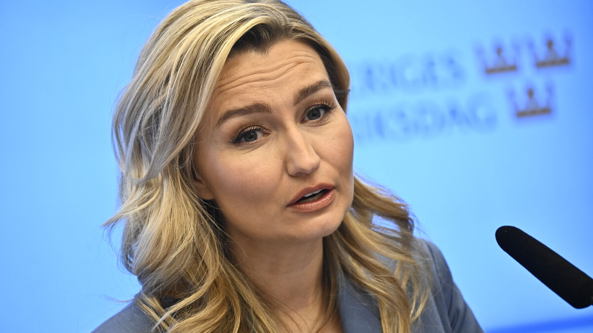 Ebba Busch attacks EU energy commissioner Dan Jørgensen over Sweden bottleneck fees