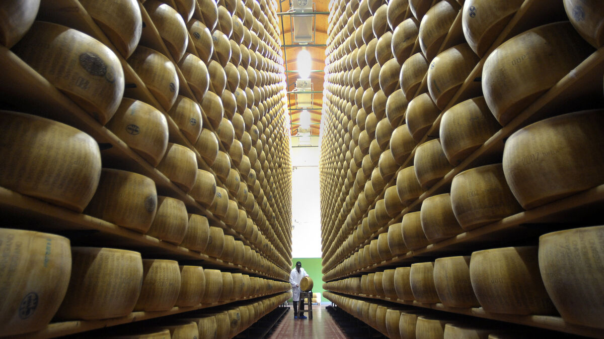 Extreme heat threatens Italy’s Parmesan cheese production