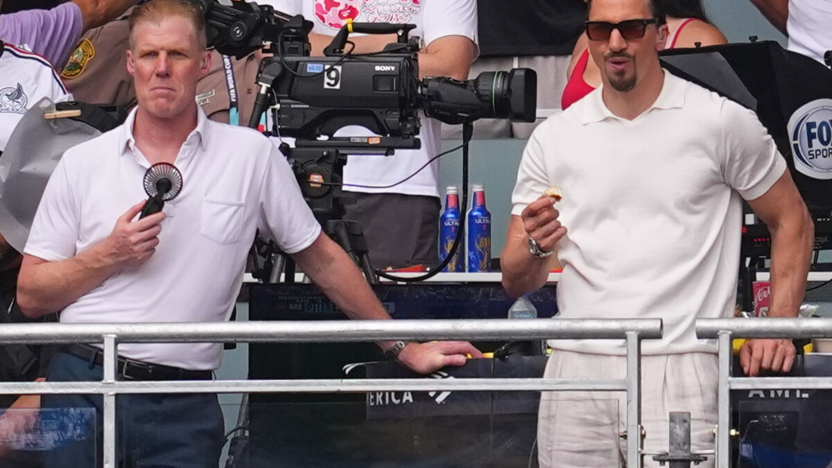 Zlatan Ibrahimović says Fox Sports role was his first and last appearance on TV