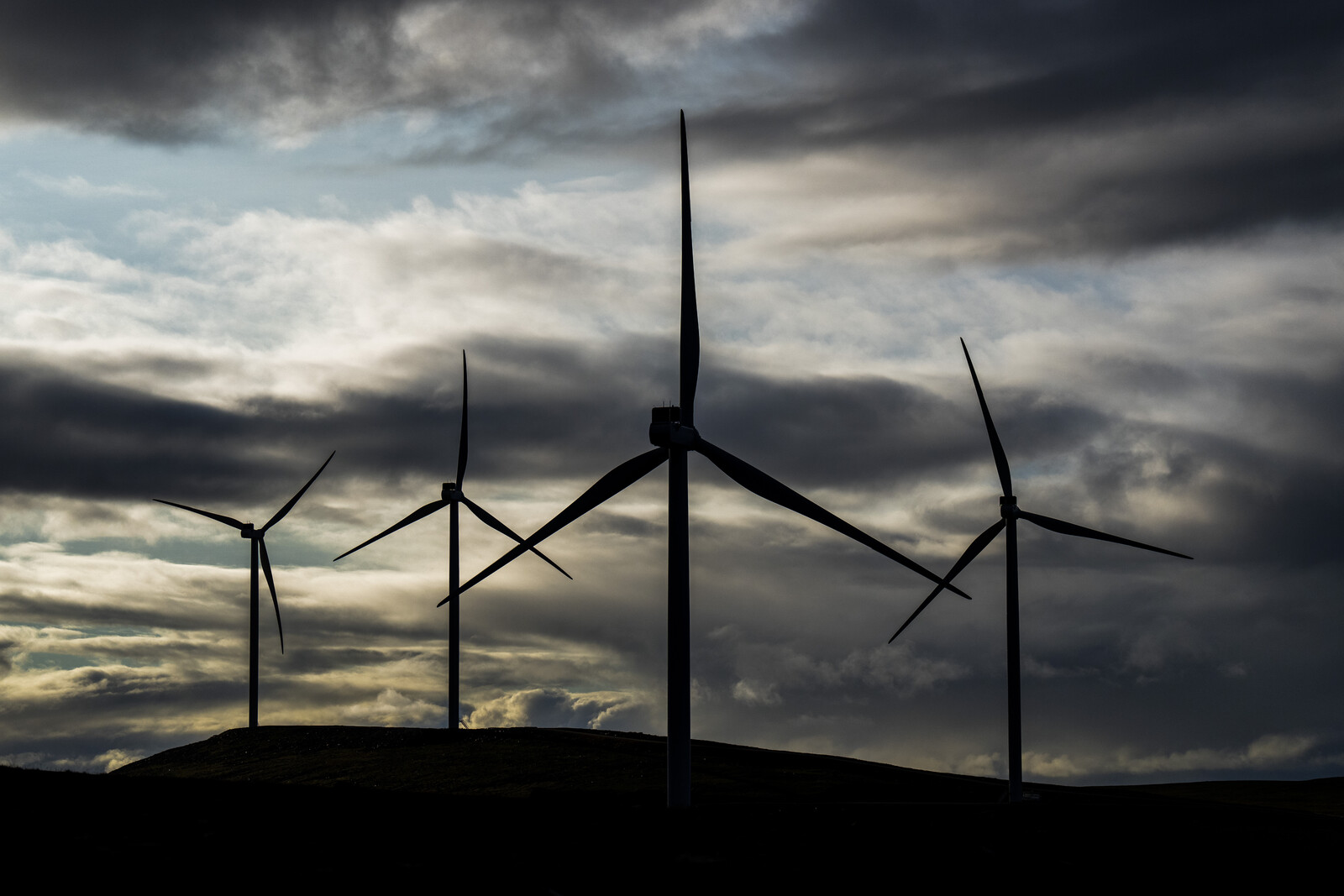 Trump Administration Halts New York Offshore Wind Farm Construction