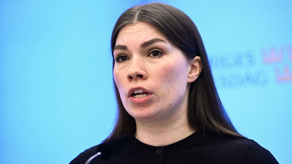 Sweden Democrats' allegations of bought votes are rejected