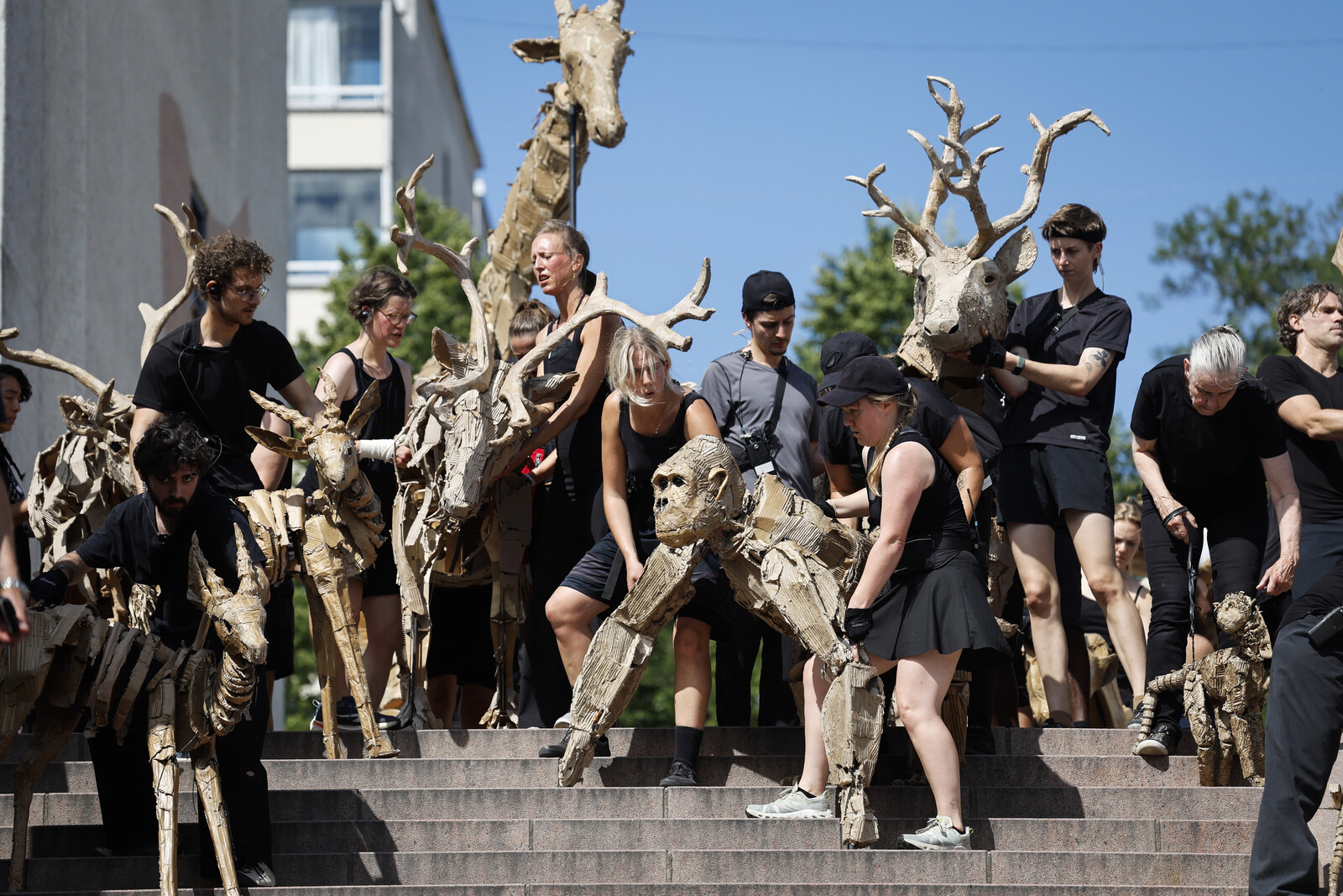 Cardboard Animal Art Project Arrives