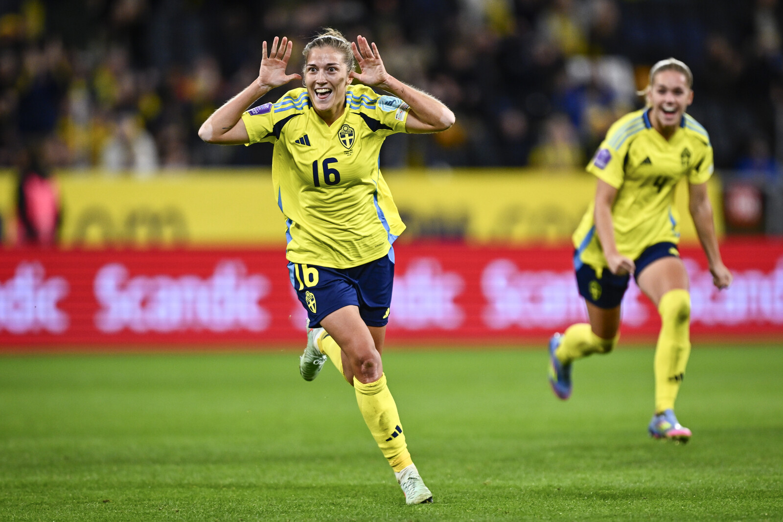 Sweden and Denmark Bid to