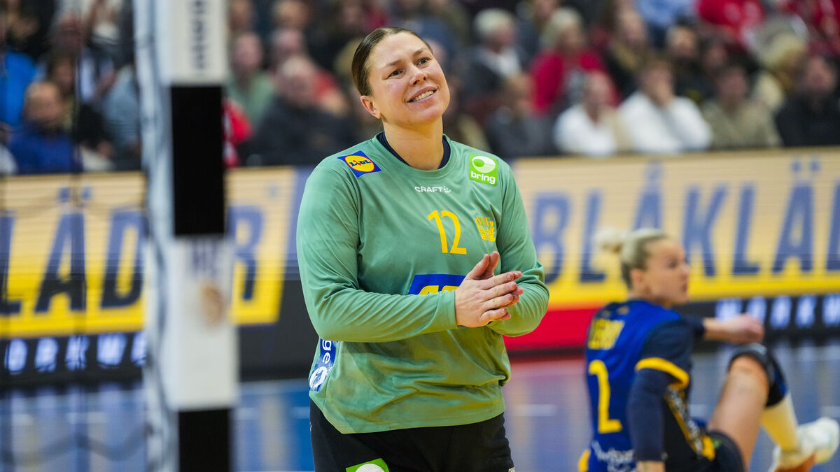 National team goalkeeper pregnant, pauses career