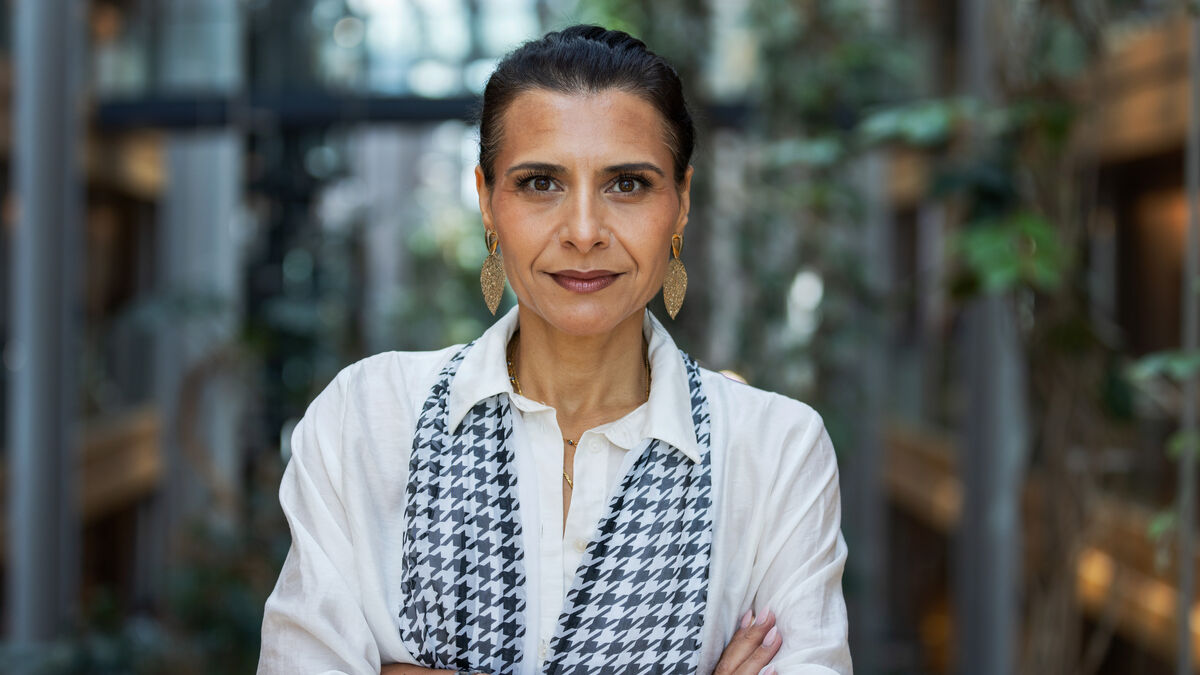 Nordic racism fight in the EU after Danish MP tells Swedish MEP Abir Al-Sahlani to go home