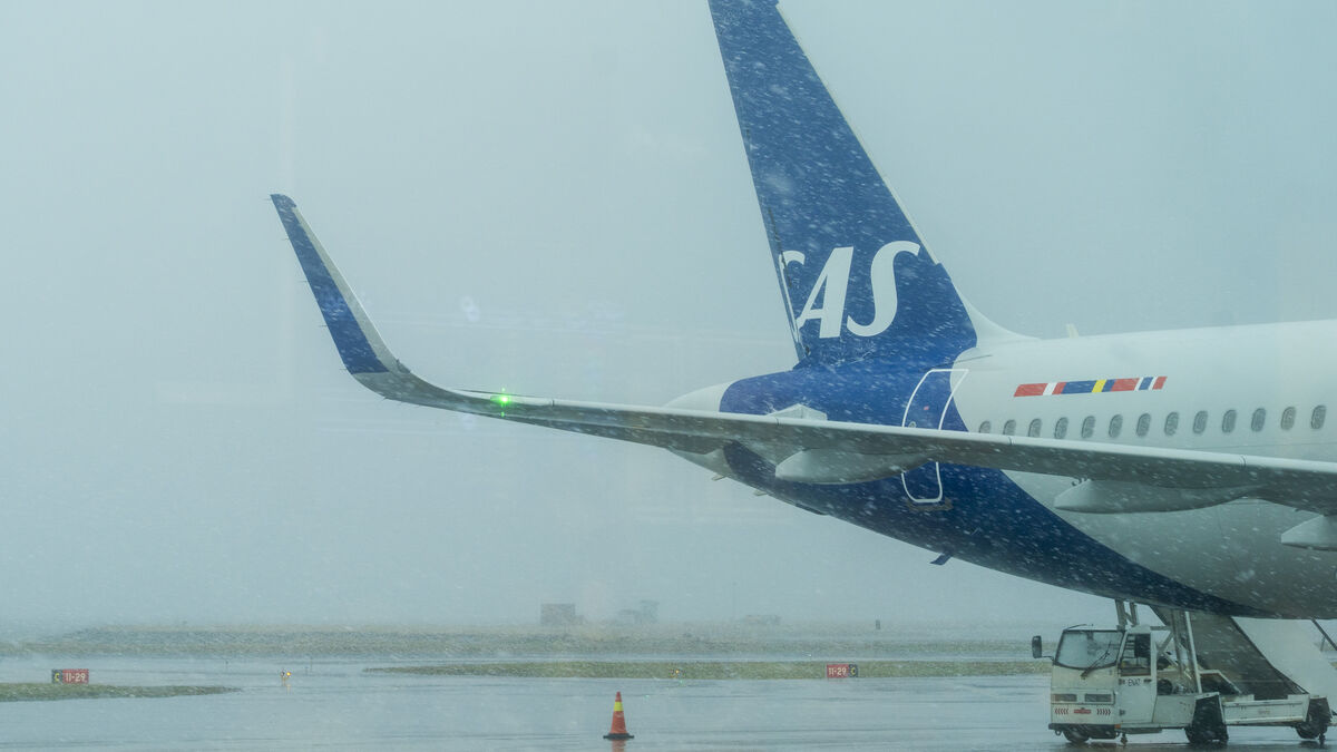 SAS company threatened by Christmas