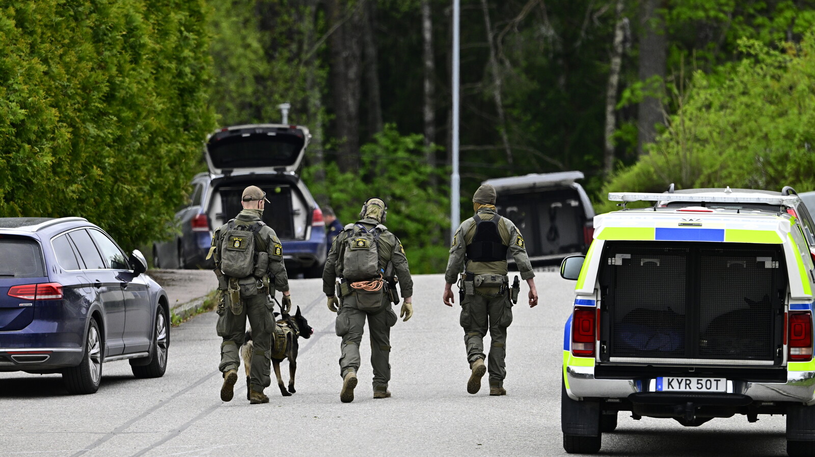 Suspected Västerås Murderer Detained in