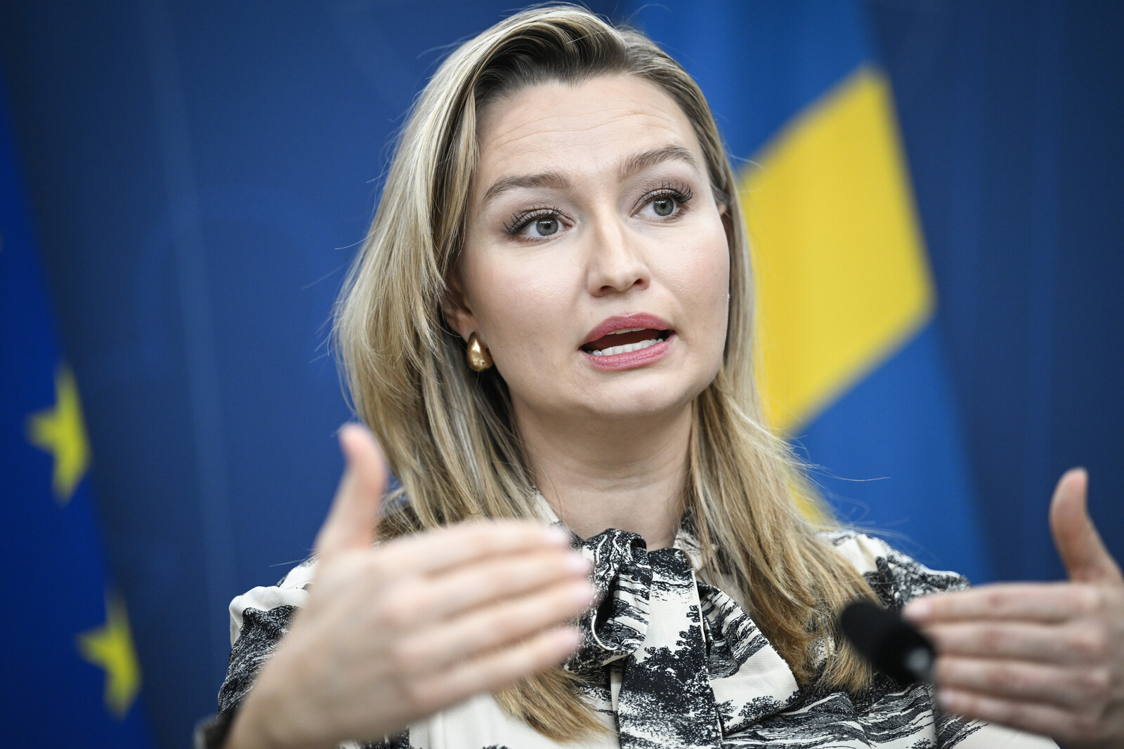 Busch Reported to the Constitutional Committee by the Social Democrats after Post