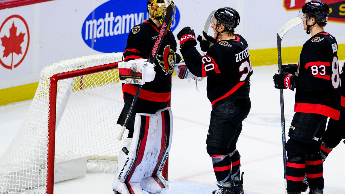 Swedish match hero Fabian Zetterlund