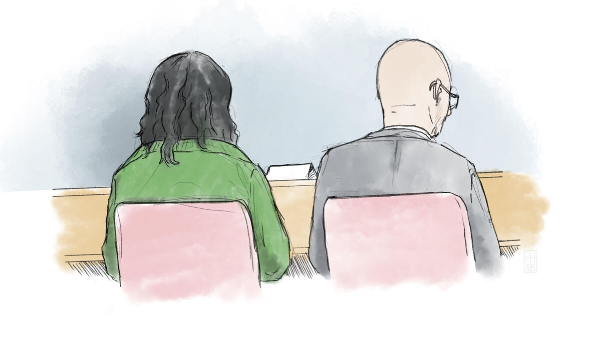Accused 18-year-old admits to terrorist plots