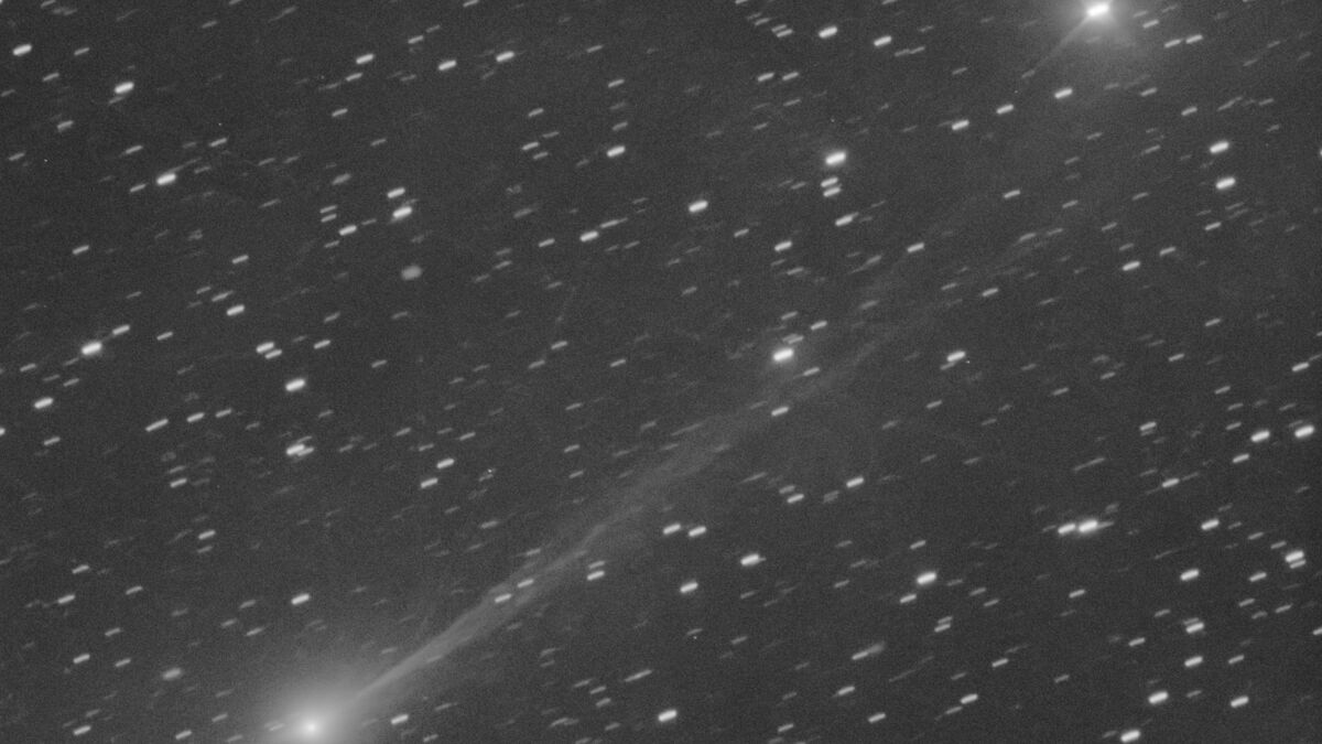 New images of rare visitor
