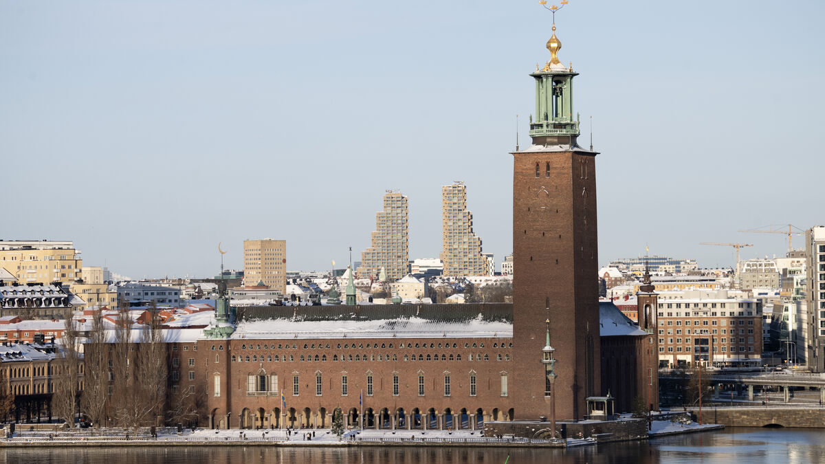 Swedish economy grew more than expected in November