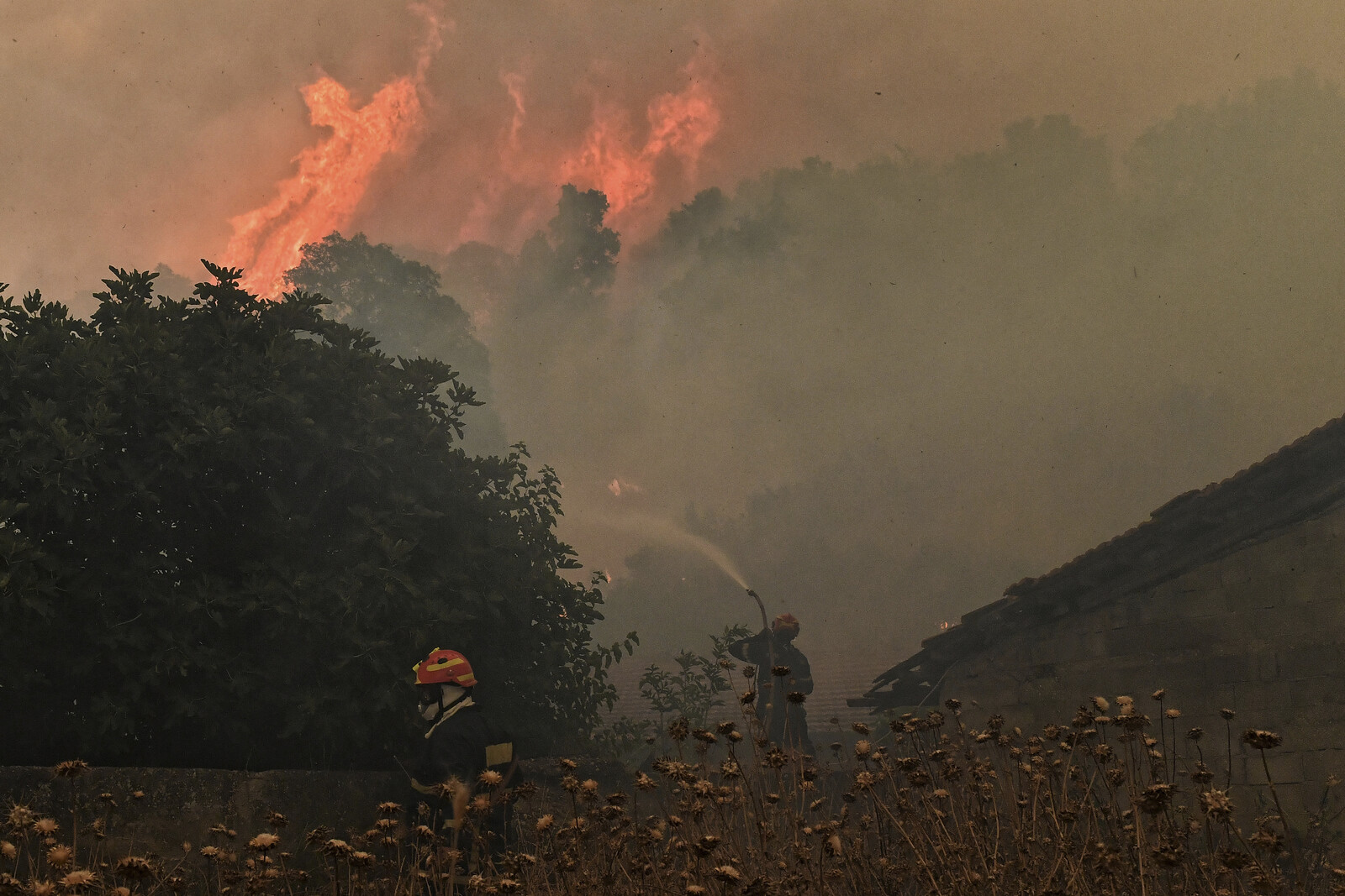 Greece Forest Fire Near Corinth