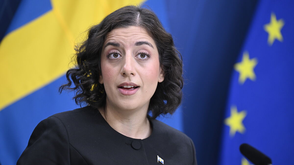 Mohamsson criticizes Åkesson’s call to vote out the Liberals