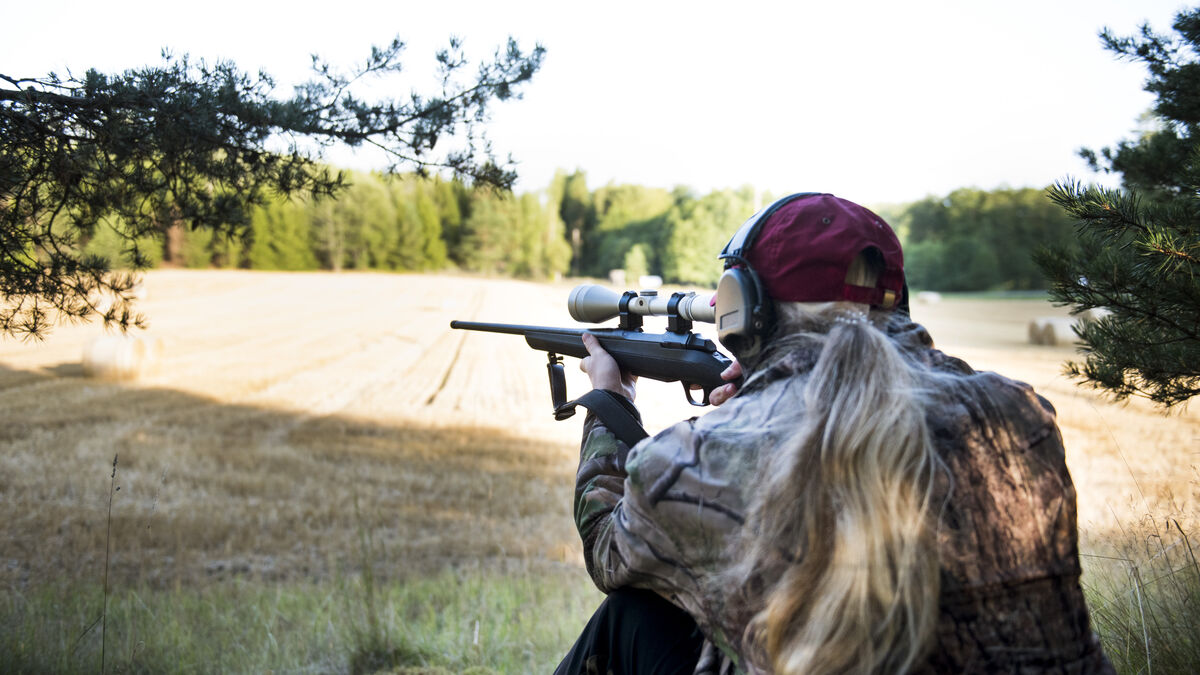 Motala Offers 1000 Kronor for Each Wild Boar Shot to Control Population