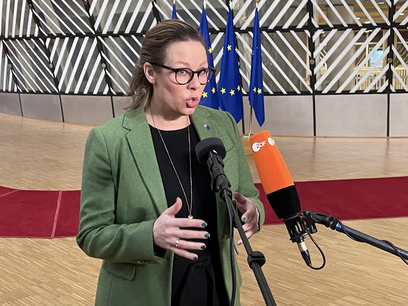 Swedish Foreign Minister to Discuss Journalist's Detention with Turkey