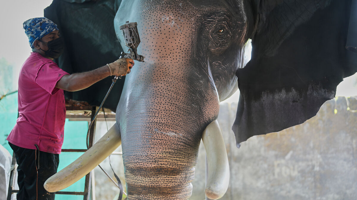Robot elephants offered to Indian