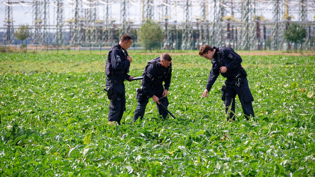Germany investigates third suspected sabotage attempt on power grid this week