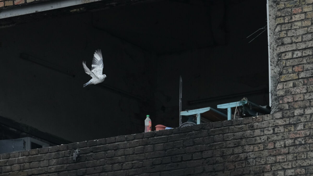 Ukraine and Russia peace talks over, prisoners exchanged