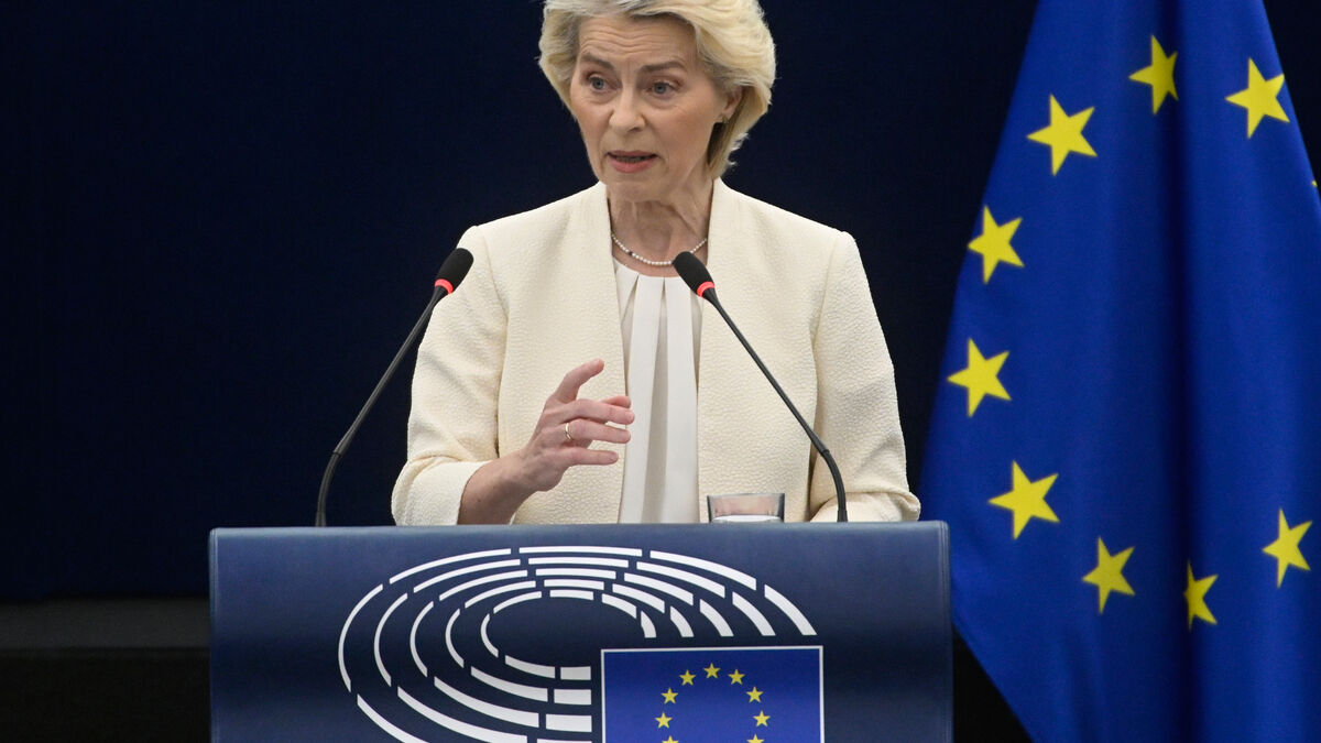 EU proposes social media ban