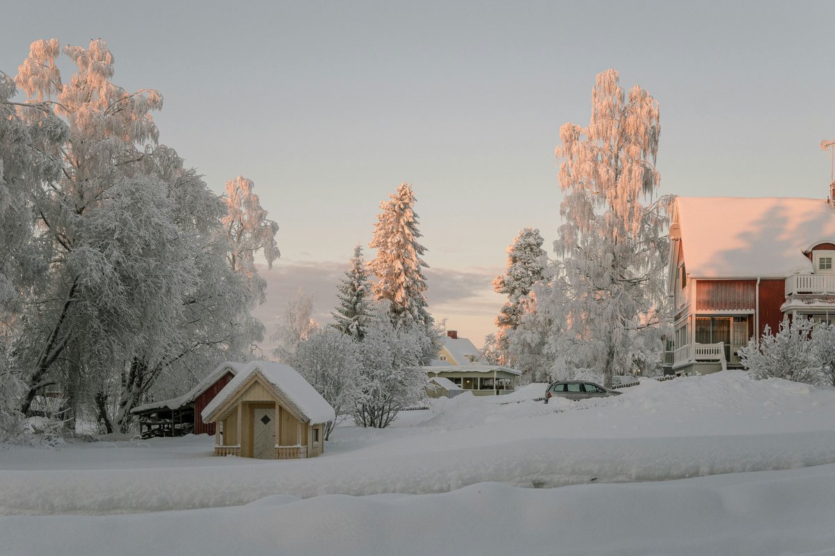 Winter walk